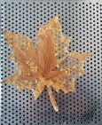 autumn leaf #epoxycoast #epoxydesign
