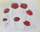 Coquelicots #acrylic