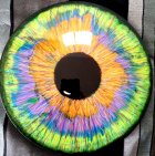 Oeil : pouring and epoxy resin